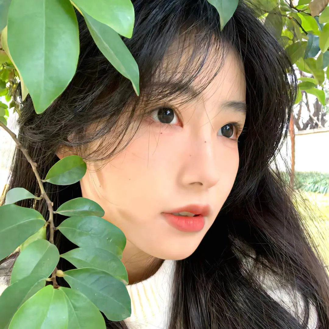 追着彩虹的我们