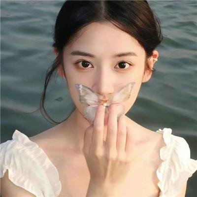 完美独裁