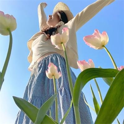高达神曲