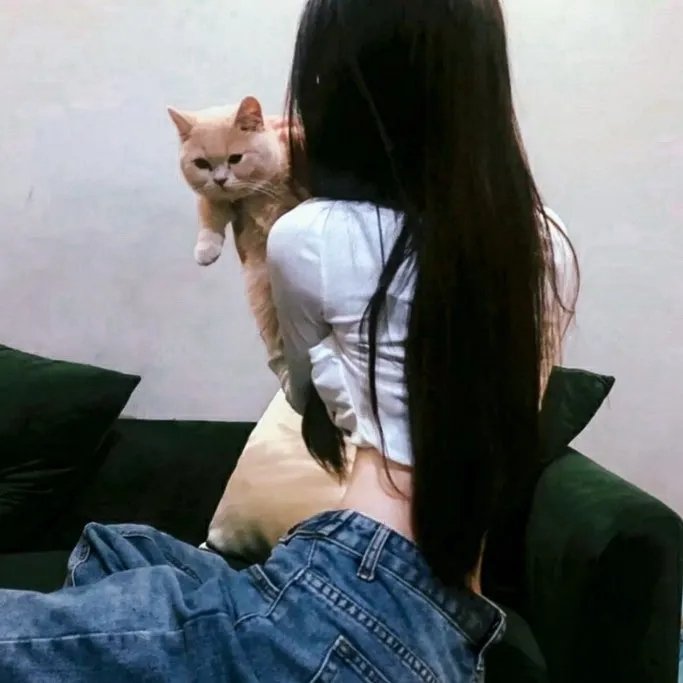 万圣节救星修比